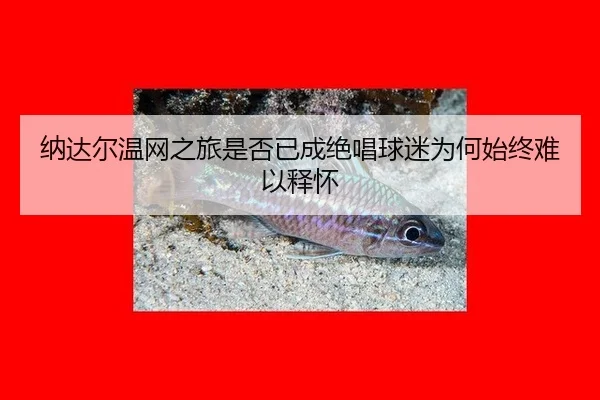 纳达尔温网之旅是否已成绝唱球迷为何始终难以释怀